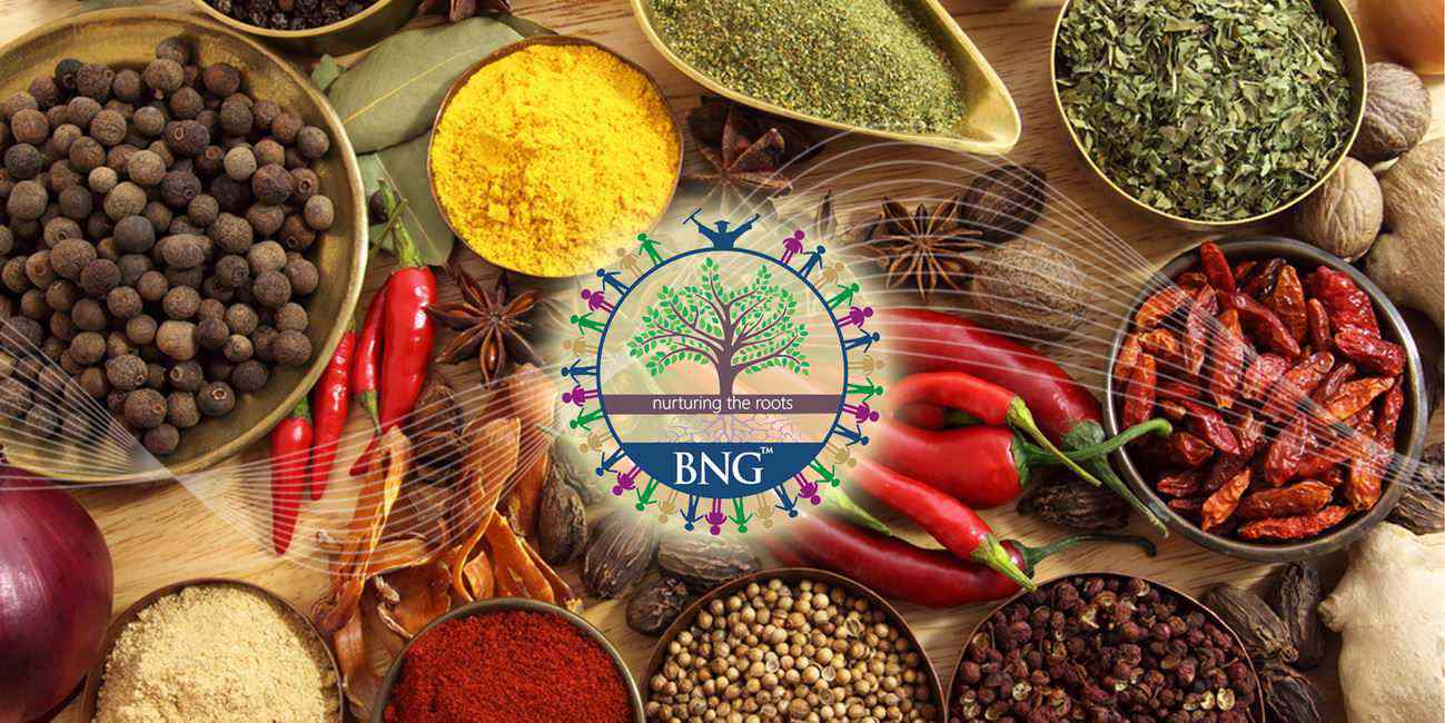 various Spices and Herbs