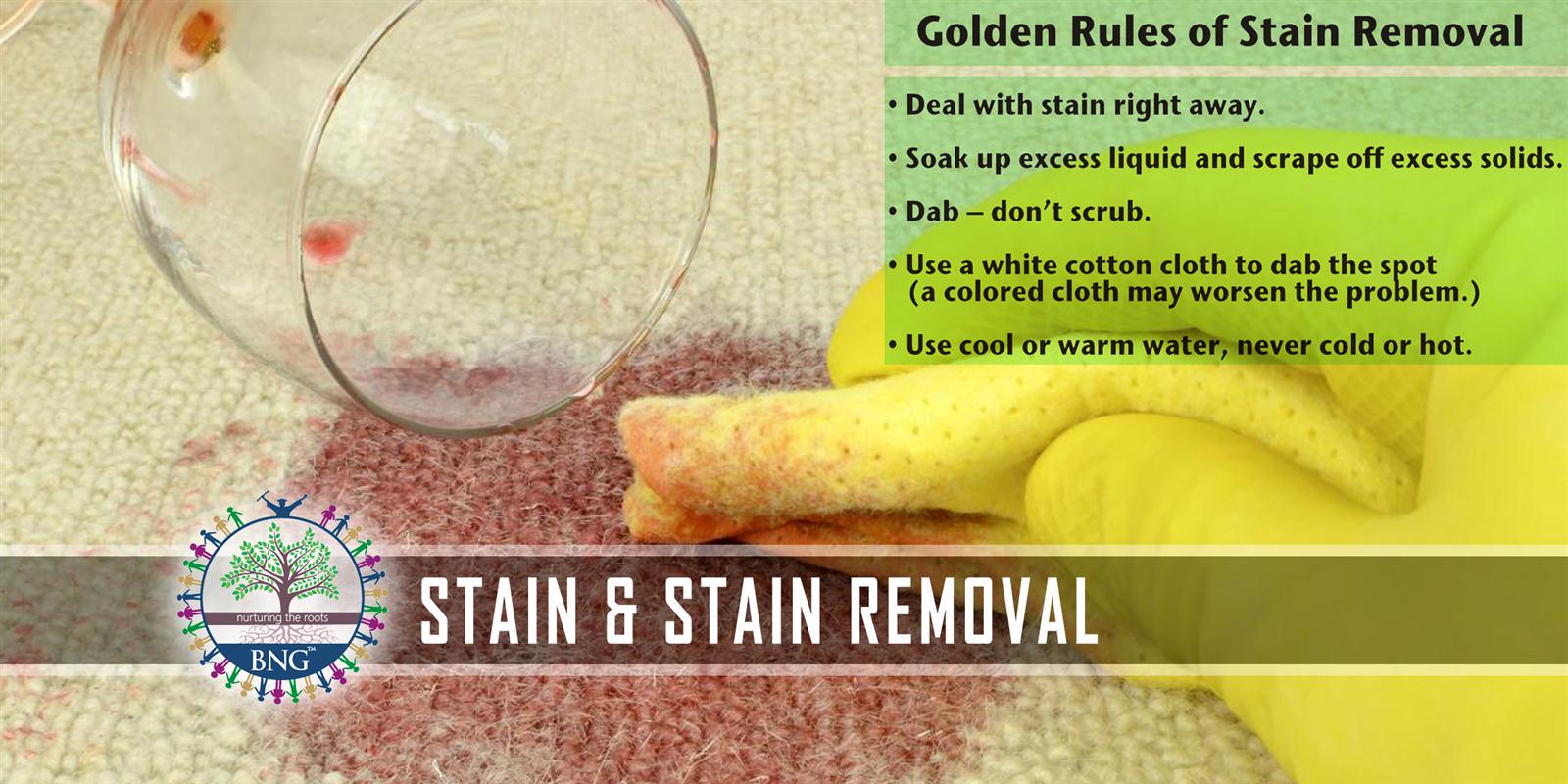 Stain & Stain Removal BNG Hotel Management Institute