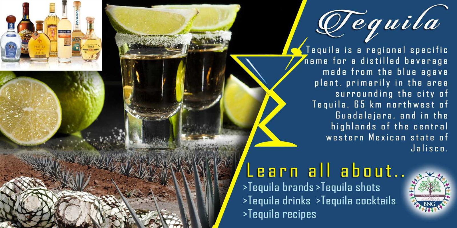 Blue Agave Tequila Drink Recipes Bios Pics