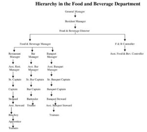 Food And Beverage Service Basics → D1205- Hierarchy In F & B Service ...